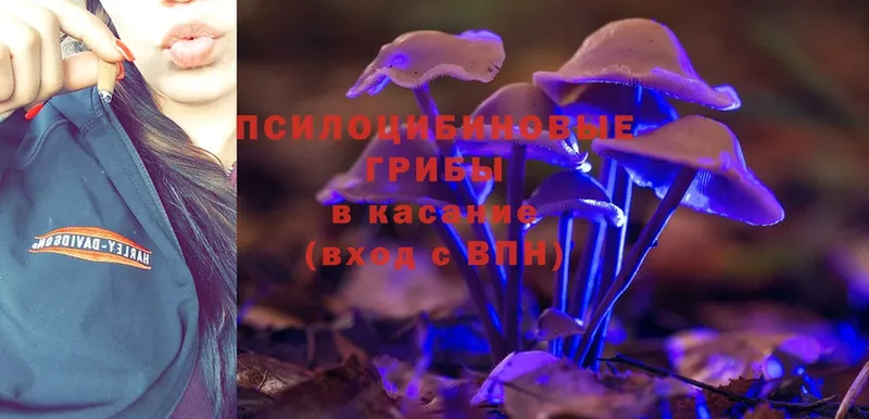 Галлюциногенные грибы MAGIC MUSHROOMS  Канск 